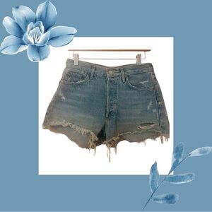 Agolde Parker Distressed Denim Shorts in Swapmeet
